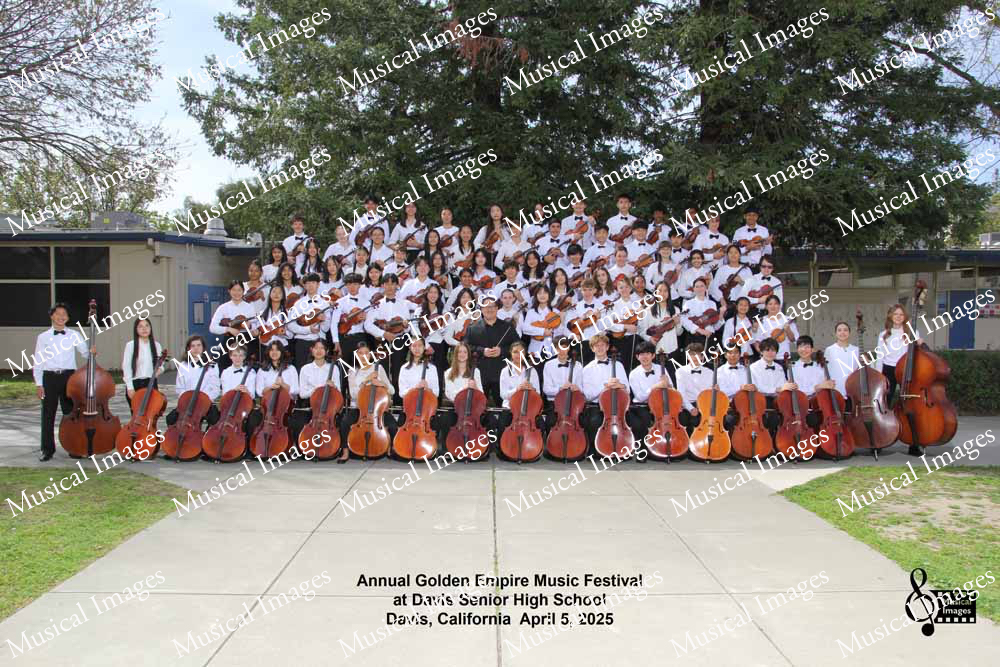 Musical Images